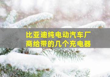 比亚迪纯电动汽车厂商给带的几个充电器