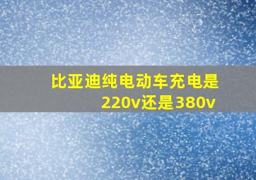 比亚迪纯电动车充电是220v还是380v