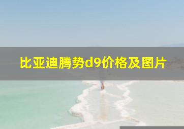 比亚迪腾势d9价格及图片