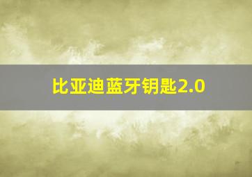 比亚迪蓝牙钥匙2.0