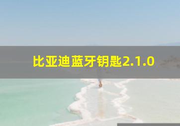 比亚迪蓝牙钥匙2.1.0