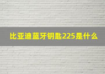 比亚迪蓝牙钥匙225是什么