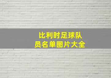 比利时足球队员名单图片大全