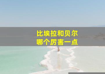 比埃拉和贝尔哪个厉害一点