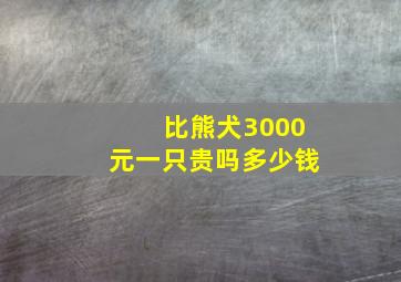 比熊犬3000元一只贵吗多少钱