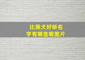 比熊犬好听名字有哪些呢图片