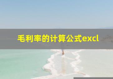 毛利率的计算公式excl