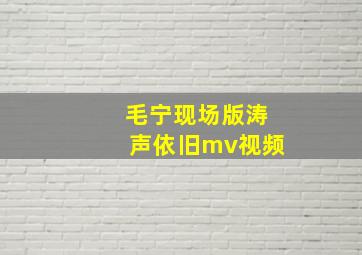 毛宁现场版涛声依旧mv视频