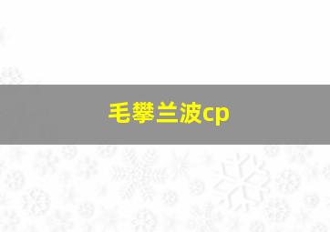 毛攀兰波cp