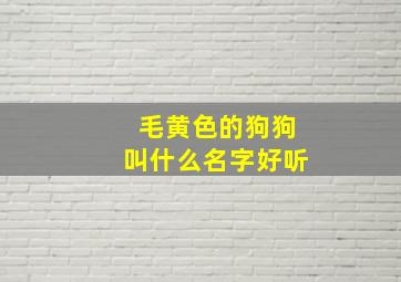 毛黄色的狗狗叫什么名字好听