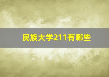 民族大学211有哪些