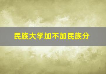 民族大学加不加民族分