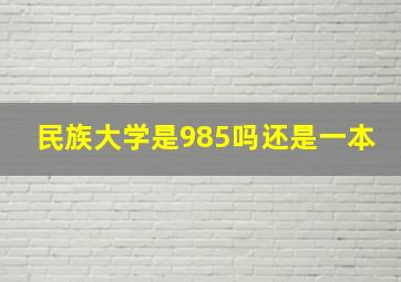 民族大学是985吗还是一本