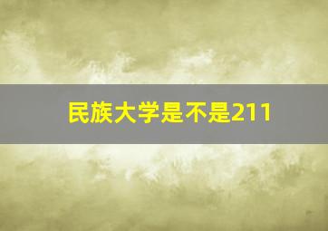 民族大学是不是211