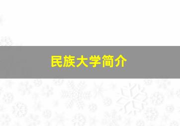 民族大学简介