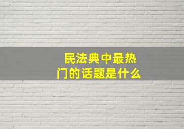 民法典中最热门的话题是什么