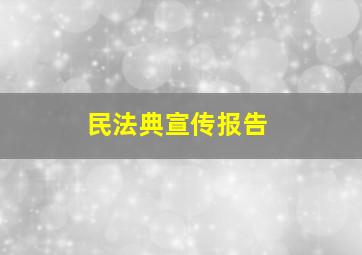 民法典宣传报告