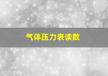 气体压力表读数