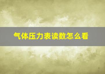 气体压力表读数怎么看