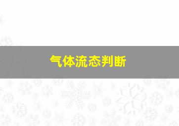 气体流态判断