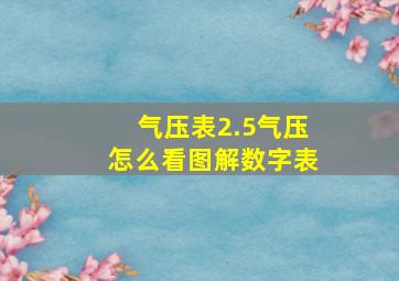 气压表2.5气压怎么看图解数字表