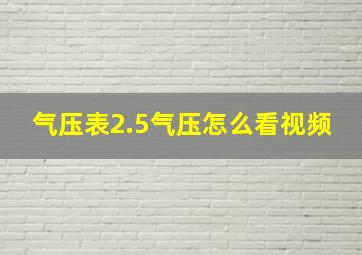 气压表2.5气压怎么看视频