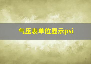 气压表单位显示psi