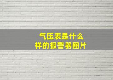 气压表是什么样的报警器图片