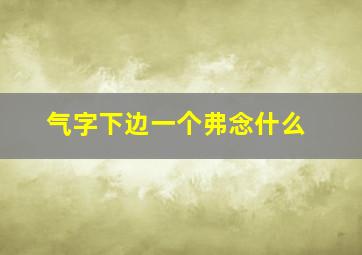 气字下边一个弗念什么