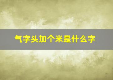 气字头加个米是什么字