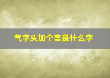 气字头加个言是什么字