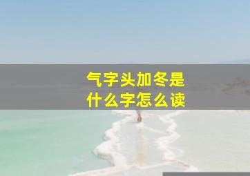 气字头加冬是什么字怎么读