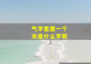 气字里面一个米是什么字啊