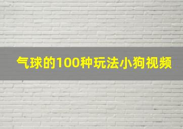 气球的100种玩法小狗视频