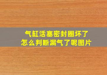 气缸活塞密封圈坏了怎么判断漏气了呢图片