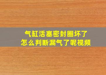 气缸活塞密封圈坏了怎么判断漏气了呢视频