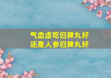 气血虚吃归脾丸好还是人参归脾丸好