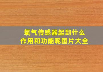 氧气传感器起到什么作用和功能呢图片大全