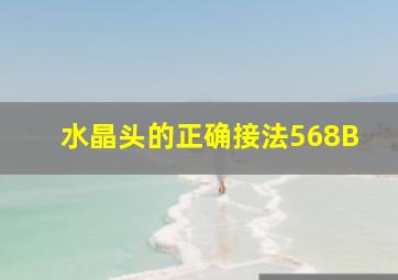 水晶头的正确接法568B