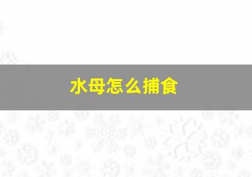 水母怎么捕食