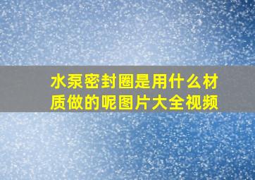 水泵密封圈是用什么材质做的呢图片大全视频