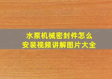 水泵机械密封件怎么安装视频讲解图片大全