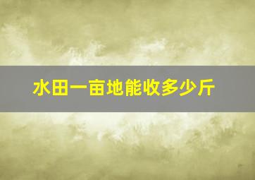 水田一亩地能收多少斤