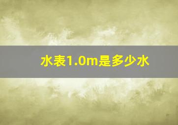 水表1.0m是多少水