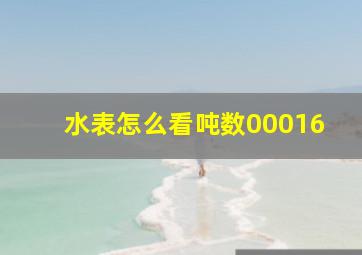 水表怎么看吨数00016