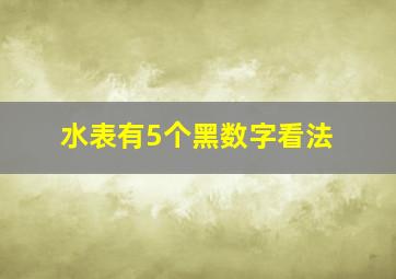 水表有5个黑数字看法