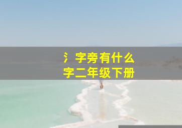 氵字旁有什么字二年级下册