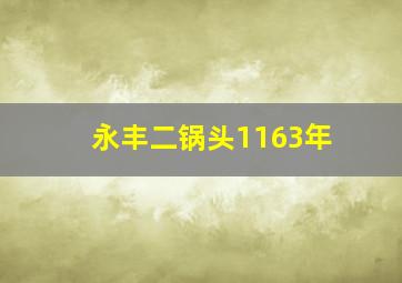 永丰二锅头1163年