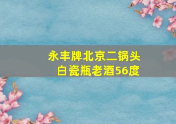 永丰牌北京二锅头白瓷瓶老酒56度