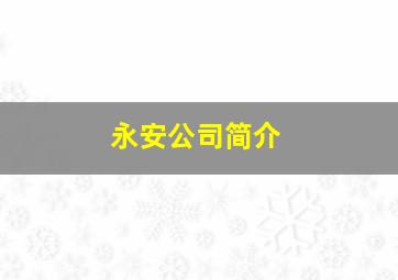 永安公司简介